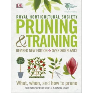 RHS Pruning & Training: What, When, and How to Prune