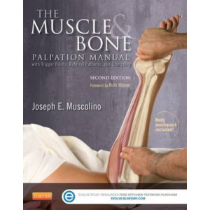 Muscle and Bone Palpation Manual with Trigger Points, Referral Patterns and Stretching 2E